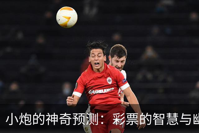 小炮的神奇预测：彩票的智慧与幽默碰撞